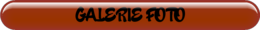 Galerie Foto